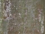 image of grave number 625213